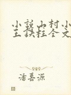 小说山村小神医王铁柱全文免费阅读