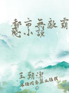 都市无敌霸主扬飞小说