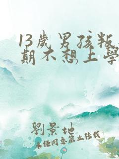13岁男孩叛逆期不想上学怎么办