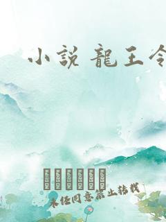 小说 龙王令
