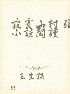寂寞山村 张瑶小说阅读