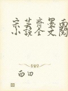 宋芸齐墨南最新小说全文阅读