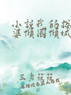 小说我的总裁老婆倾国倾城在线阅读