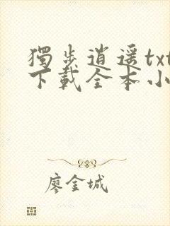 独步逍遥txt下载全本小说