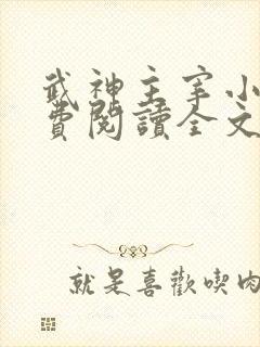 武神主宰小说免费阅读全文无窗口