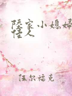 陆家小媳妇 笑佳人