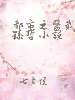 都市之医武风流孙哲小说
