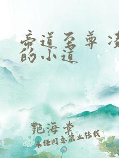 帝道至尊 凌乱的小道