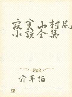 寂寞山村风残阳小说全集
