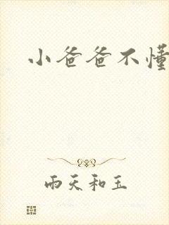 小爸爸不懂爱