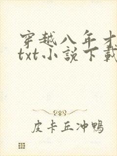 穿越八年才出道txt小说下载