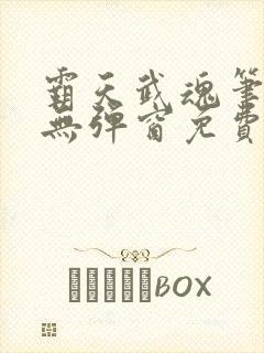 霸天武魂笔趣阁无弹窗免费阅读