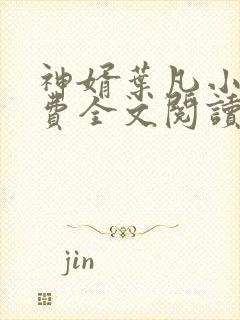 神婿叶凡小说免费全文阅读