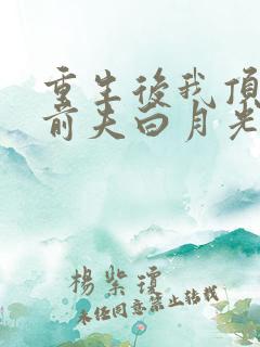 重生后我顶替了前夫白月光 九九月