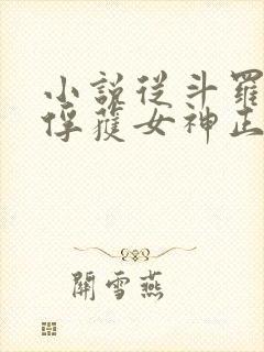 小说从斗罗开始俘获女神正版全文下载