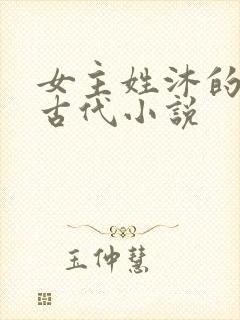 女主姓沐的重生古代小说