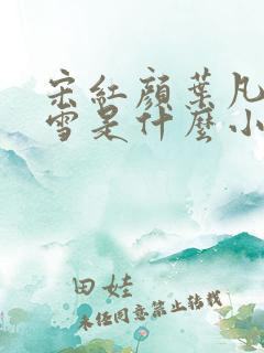 宋红颜叶凡唐若雪是什么小说