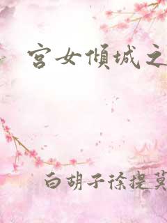 宫女倾城之恋