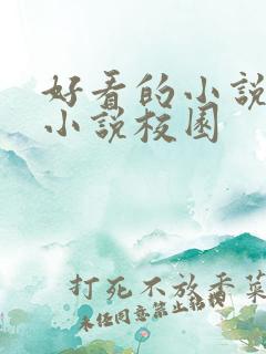好看的小说言情小说校园