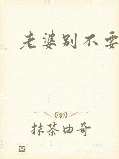 老婆别不要我