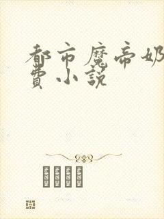 都市魔帝奶爸免费小说