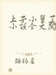 上子小舅了老婆小说全文阅读