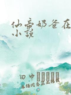 仙帝奶爸在都市小说