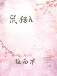鼠猫h