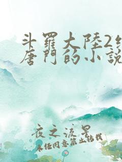 斗罗大陆2绝世唐门的小说