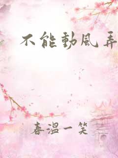 不能动风弄