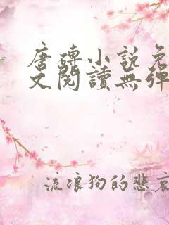 唐砖小说免费全文阅读无弹窗