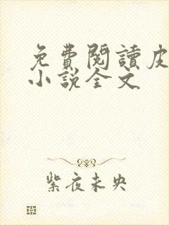 免费阅读皮剑青小说全文