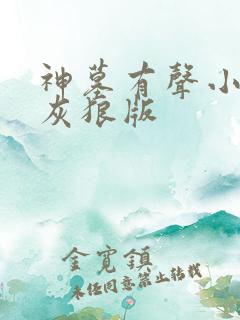 神墓有声小说大灰狼版