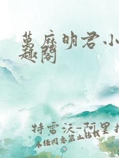 万历明君小说笔趣阁