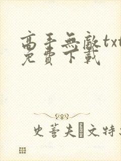 高手无敌txt免费下载