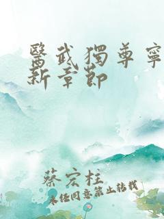 医武独尊宁天最新章节