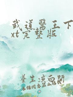 武道医王下载txt完整版