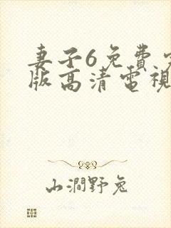 妻子6免费完整版高清电视剧在线看