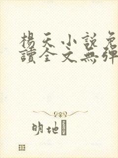 杨天小说免费阅读全文无弹窗