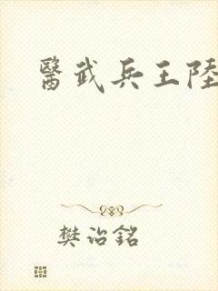 医武兵王陆轩