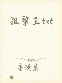 狙击王txt