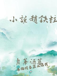 小说赵铁柱