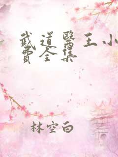 武道医王小说免费全集