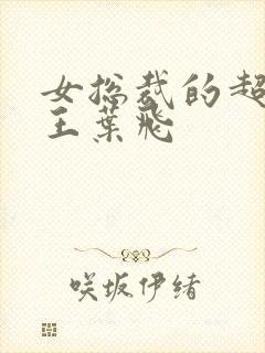 女总裁的超级兵王叶飞