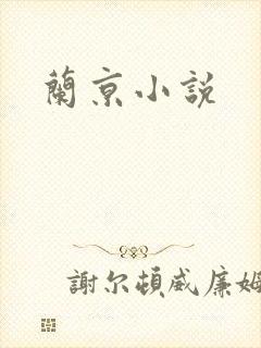 兰京小说