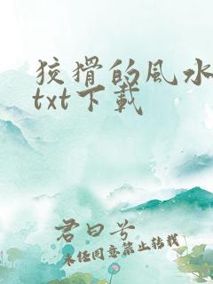 狡猾的风水相师txt下载