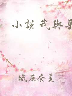 小说 我与岳母