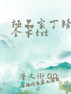 极品家丁精校版全本txt