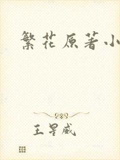 繁花原著小说