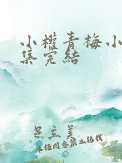 小权青梅小说全集完结